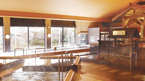 東京周邊特色小眾溫泉勝地 日本本地人的隱逸之選